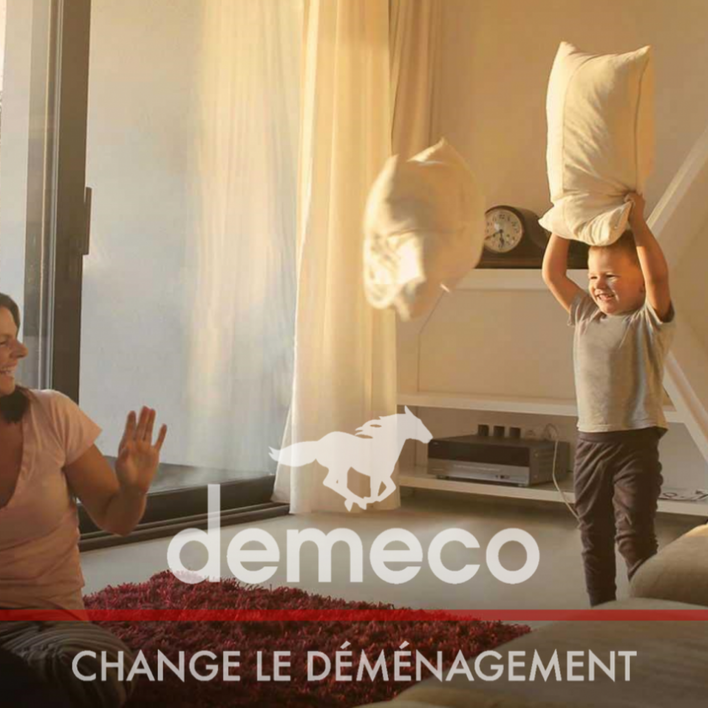Entreprise de Déménagement Demena, 5 agences dans le 28, 91 et 78