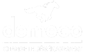 logo Demena